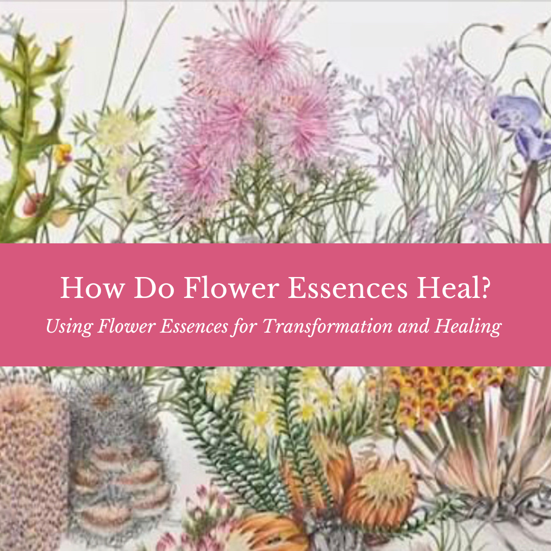 how-do-flower-essences-heal